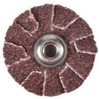 ALO Overlap Slotted Disc Auto-Cam