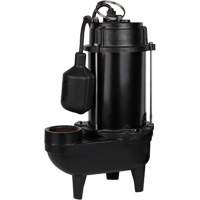 Pompe d'effluent en fonte, 4800 gal./h, 120 V, 7,8 A, 1/2 CV Auto-Cam