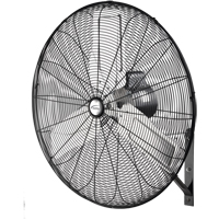 Ventilateur mural non oscillant, Industriel, Dia 30", 2 vitesses Auto-Cam