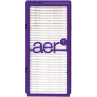 Filtres HEPA authentiques pour purificateurs d'air EB296 | Auto-Cam