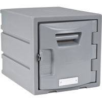 Locker, 12" x 15" x 12", Grey, Assembled FH725 | Auto-Cam
