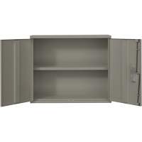 Wall Mounted Cabinet, Steel, 2 Shelves, 30" H x 36" W x 12" D, Grey Auto-Cam
