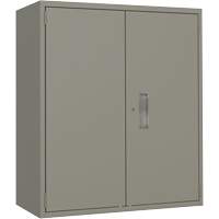 Lo-Boy Storage Cabinet, Steel, 2 Shelves, 40" H x 36" W x 18" D, Grey Auto-Cam