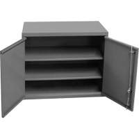Armoire murale, 27" h x 13-11/16" la x 35-7/8" p, 2 tablettes, Acier, Gris Auto-Cam
