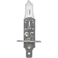 64155 Ampoule automobile de base, Halog&egrave;ne, 78 W, Blanc cass&eacute; Auto-Cam