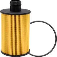 P40147 Lube Oil Filter Element Auto-Cam