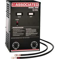 Powerful Performance Parallel Battery Charger Auto-Cam
