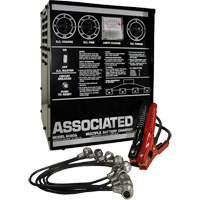 Multi-Battery Series Charger Auto-Cam