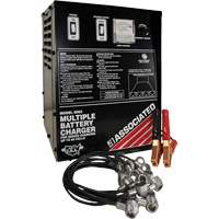 Multi-Battery Series Charger Auto-Cam