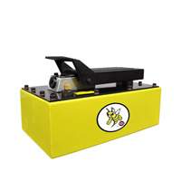 5 Quart Air Hydraulic Pump Auto-Cam