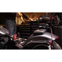 Genius&reg; 10 10-Amp Battery Charger Auto-Cam