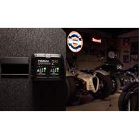 Genius&reg; 2X2 2-Bank, 4-Amp Battery Charger Auto-Cam