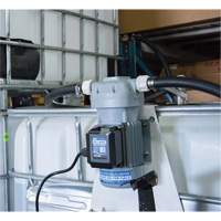 Pompe de transfert de fluide d'&eacute;chappement diesel (DEF) 115 V CA avec support pour cuve GRV et pistolet Auto-Cam