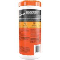 Original Protectant Wipes Auto-Cam