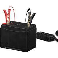 Group 24 90Ah Lithium Dual-Purpose Battery Auto-Cam