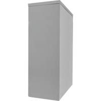 Armoire de rangement &agrave; hauteur de comptoir, Acier, 2 Tablettes, 42" h x 48" la x 24" P, Gris Auto-Cam
