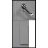 Armoire de rangement &agrave; hauteur de comptoir, Acier, 2 Tablettes, 42" h x 48" la x 24" P, Gris Auto-Cam