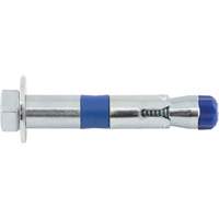 Power Bolt Removable Sleeve Anchors Auto-Cam