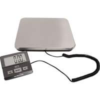 Digital Receiving Scale, 220 lbs. Cap., 1 lbs. Graduations Auto-Cam