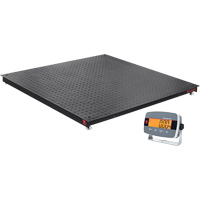Defender 3000 Floor Scale, 5000 lbs. Capacity, 4' L x 4' W Auto-Cam