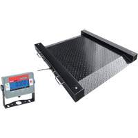 DEFENDER Drum Scale, 2500 lbs. Capacity, 30" W x 30" L Auto-Cam