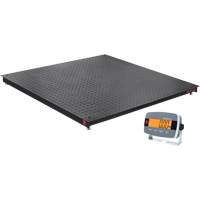 DEFENDER 3000 Floor Scale, 2500 lbs. Capacity, 48" W x 48" L Auto-Cam