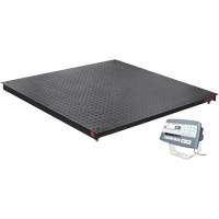 DEFENDER 5000 Floor Scale, 2500 lbs. Capacity, 48" W x 48" L Auto-Cam