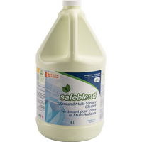 Glass & Multi-Surface Cleaner, 4 L, Jug Auto-Cam