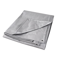 Tarp, Super Heavy-Duty, Silver, 10' x 8' x 12 mils Auto-Cam