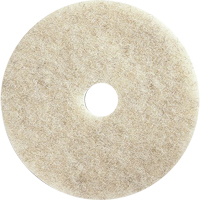 Floor Maintenance Pads, 21", Burnishing, Brown Auto-Cam