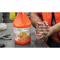 Nettoyant pour les mains à l'orange, Pierre ponce, 3,6 L, Cruche, Orange JG223 | Auto-Cam