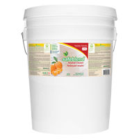 Neutral Cleaner, 20 L, Pail Auto-Cam