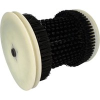 Refill Brush Auto-Cam