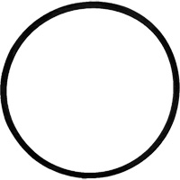 Replacement Brush Drive Belt Auto-Cam