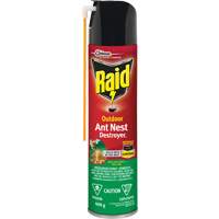 Insecticide destructeur de nids de fourmis Raid<sup>MD</sup> Extérieur, 400 g, Canette aérosol JM262 | Auto-Cam