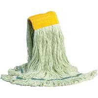 Wet Floor Mops