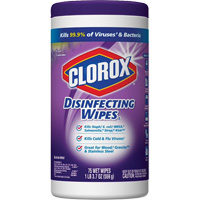 Disinfecting Wipes, 75 Count Auto-Cam