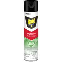 Raid<sup>®</sup> Essentials™ Ant & Spider Killer, 350 g, Aerosol Can JP467 | Auto-Cam