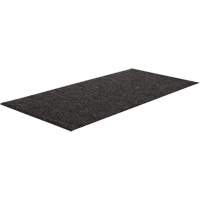 Tapis de vestibule
