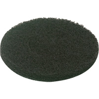 Floor Pad, Scrubbing, Green Auto-Cam