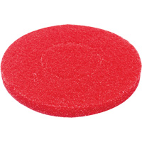 Floor Pad, Polish, Red Auto-Cam