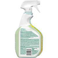 CloroxPro Clorox EcoClean Disinfecting Cleaner, 946 ml, Trigger Bottle Auto-Cam
