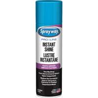 Brillant instantan&eacute; Pro Line pour surfaces en plastique, 11 oz, Canette a&eacute;rosol Auto-Cam