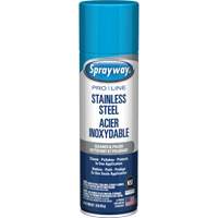 Nettoyant & polis pour acier inoxydable Pro Line, 15 oz, Canette a&eacute;rosol Auto-Cam