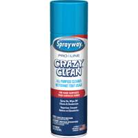 Nettoyant tout usage Pro Line Crazy Clean, 19 oz., Canette a&eacute;rosol Auto-Cam