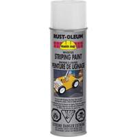 Inverted Marking Paint Spray, White, Aerosol Can Auto-Cam