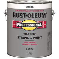Traffic Striping Paint, White, 3.78 L, Jug Auto-Cam