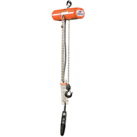 ShopStar Electric Hoists, 10' Lift, 250 lbs. (0.125 tons) Capacity, 16 FPM Auto-Cam