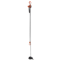 Mini Lever Hoist, 15' Lift, 500 lbs. (0.25 tons) Capacity, Steel Chain Auto-Cam