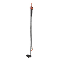 Mini Lever Hoist, 15' Lift, 1000 lbs. (0.5 tons) Capacity, Steel Chain Auto-Cam